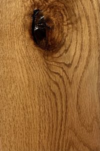 rustic-red-oak